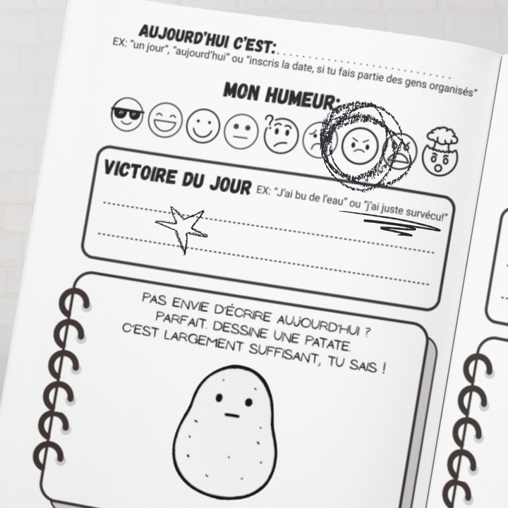 Le Journal Officiel pour Ceux qui "Détestent les Journaux": Pour ceux qui manquent de temps, d’énergie… et surtout de patience.