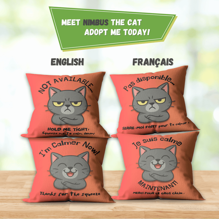 Nimbus the cat cushion cover—‘HOLD ME TIGHT!’ grumpy cat for anger release, double-sided 18×18.”