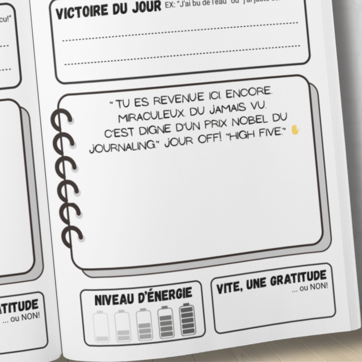 Le Journal Officiel pour Ceux qui "Détestent les Journaux": Pour ceux qui manquent de temps, d’énergie… et surtout de patience. - Madee's Boutique Madee's Boutique