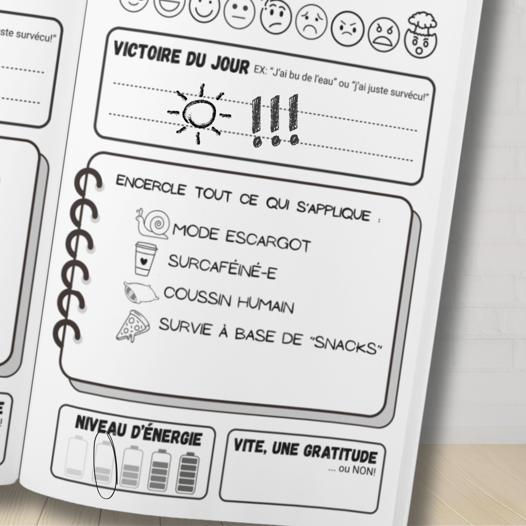 Le Journal Officiel pour Ceux qui "Détestent les Journaux": Pour ceux qui manquent de temps, d’énergie… et surtout de patience. - Madee's Boutique Madee's Boutique